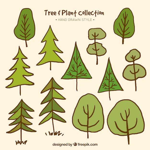 Vecteur gratuit collection d'arbres dessinés à la main