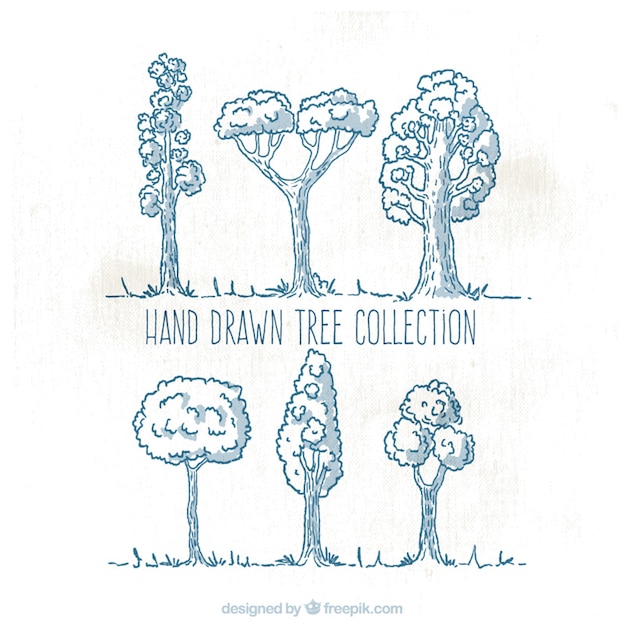 Vecteur gratuit collection d'arbres hand-drawn