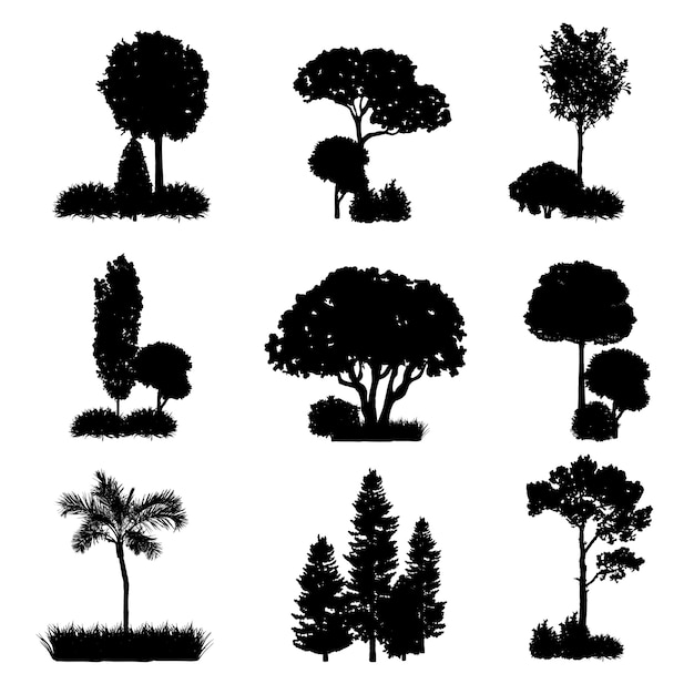 Vecteur gratuit collection d'arbres