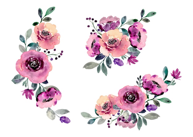 Collection d'arrangements de fleurs roses pourpres avec aquarelle