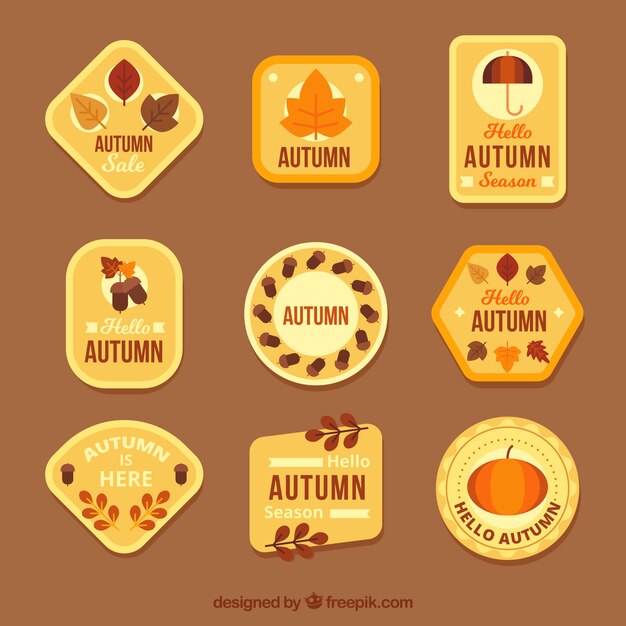 Collection De Badges Automne Dans Le Style Plat