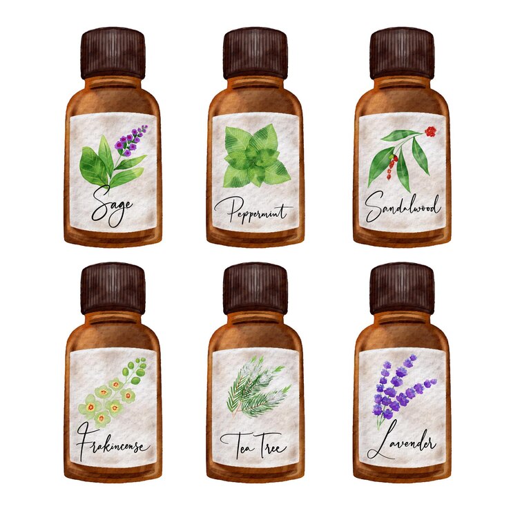 Vecteur gratuit collection de bouteilles d'huile essentielle aquarelle