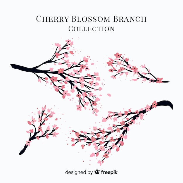 Collection de branches de cerisiers