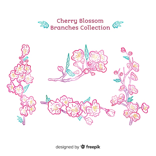 Collection De Branches De Cerisiers