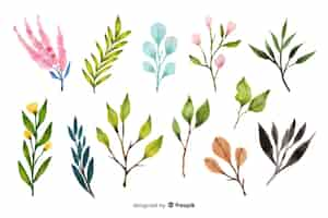 Vecteur gratuit collection de branches florales aquarelles