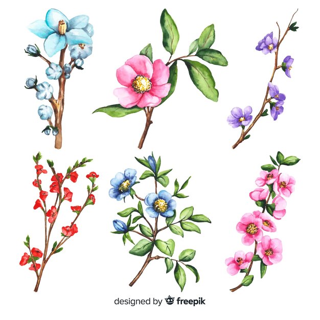 Collection de branches florales aquarelles