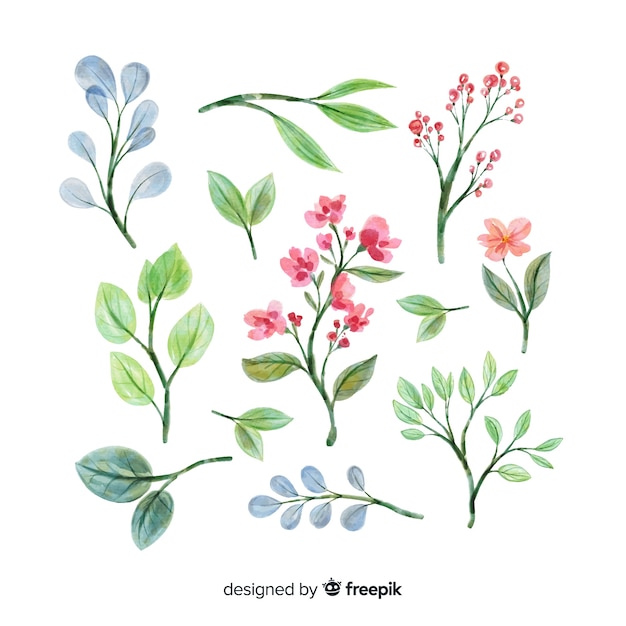 Collection de branches florales artistiques aquarelles