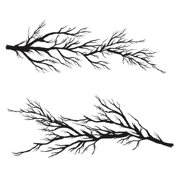 Vecteur gratuit collection de branches vectorielles