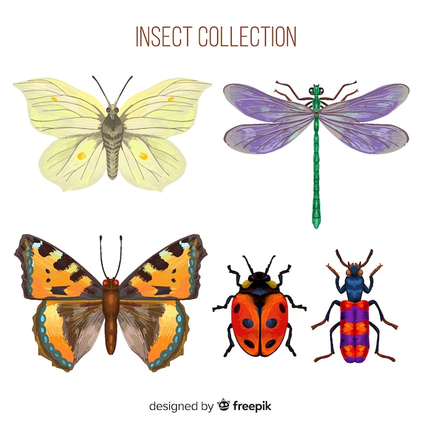 Collection de bugs colorés réalistes