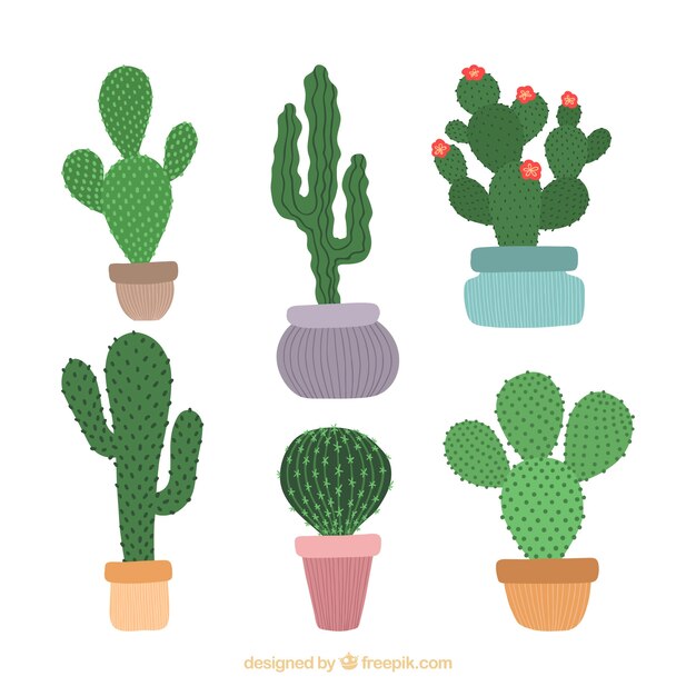 Collection de cactus dessinés à la main