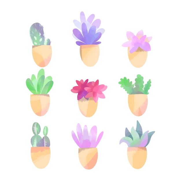 Collection De Cactus Et De Plantes Succulentes Aquarelle