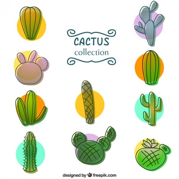 Vecteur gratuit collection de cactus tiré par la main de couleur