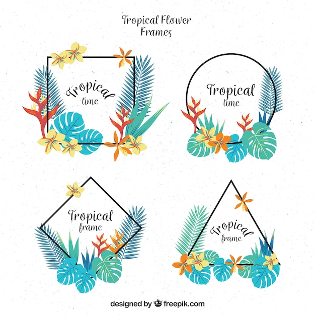 Collection De Cadres Tropicaux Décoratifs Avec Des Formes Géométriques