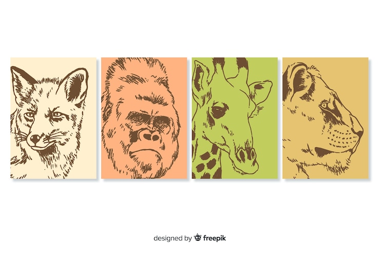 Vecteur gratuit collection de cartes d&#39;animaux sauvages dessinées à la main