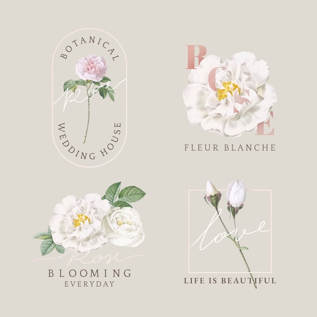 Vecteur gratuit collection de cartes de design floral