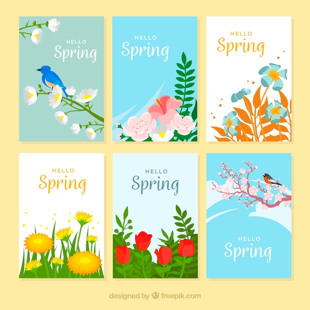 Collection De Cartes Printemps Plat