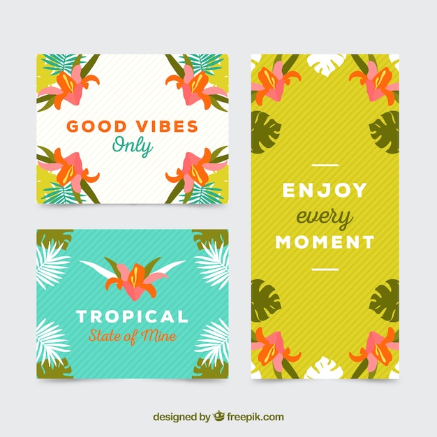 Vecteur gratuit collection de cartes tropicales good vibes