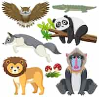 Vecteur gratuit collection cartoon animaux sauvages