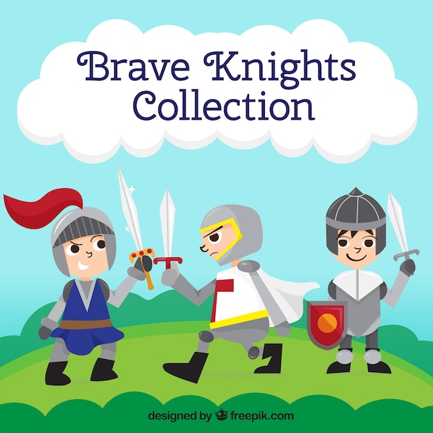 Collection De Chevaliers Enfants