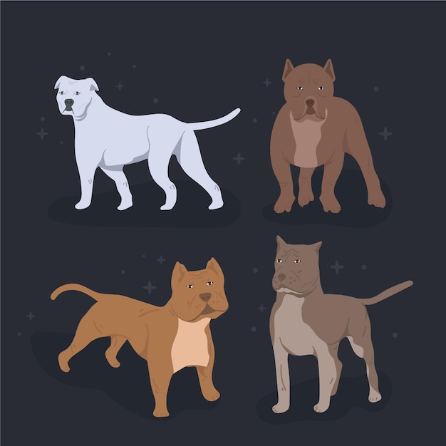 Vecteur gratuit collection de chiots pitbull plat