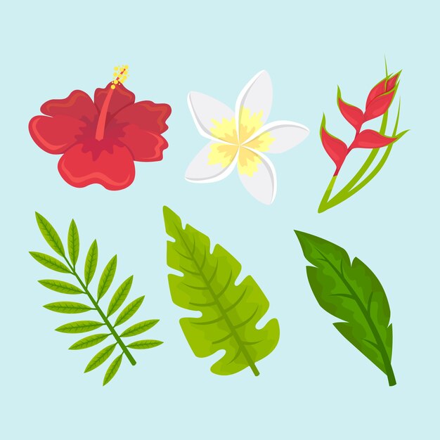 Collection de concept de fleurs et de feuilles tropicales