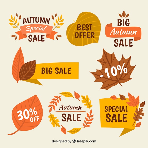 Collection De Conception De Vente D'automne