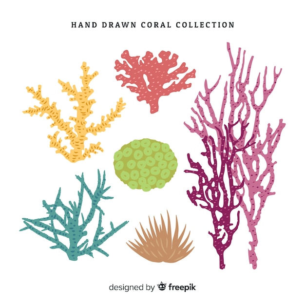 Vecteur gratuit collection de coraux dessinés à la main