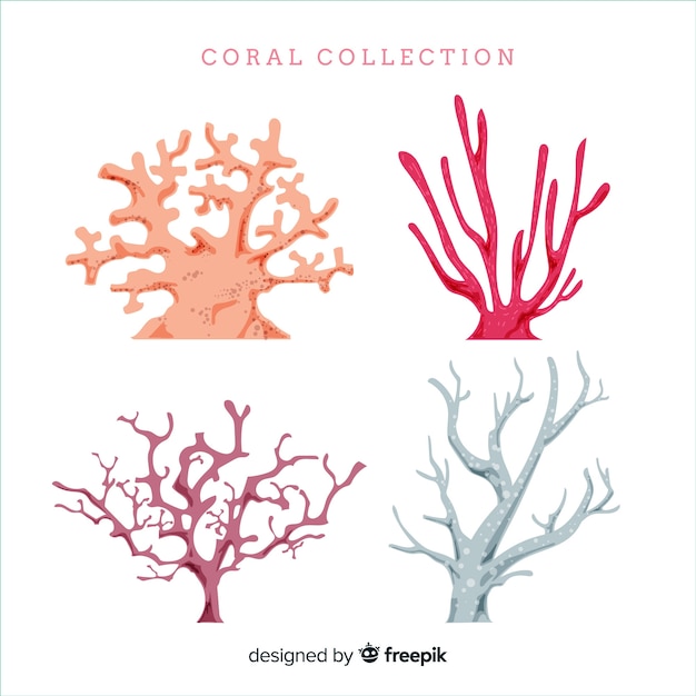 Collection de coraux dessinés à la main