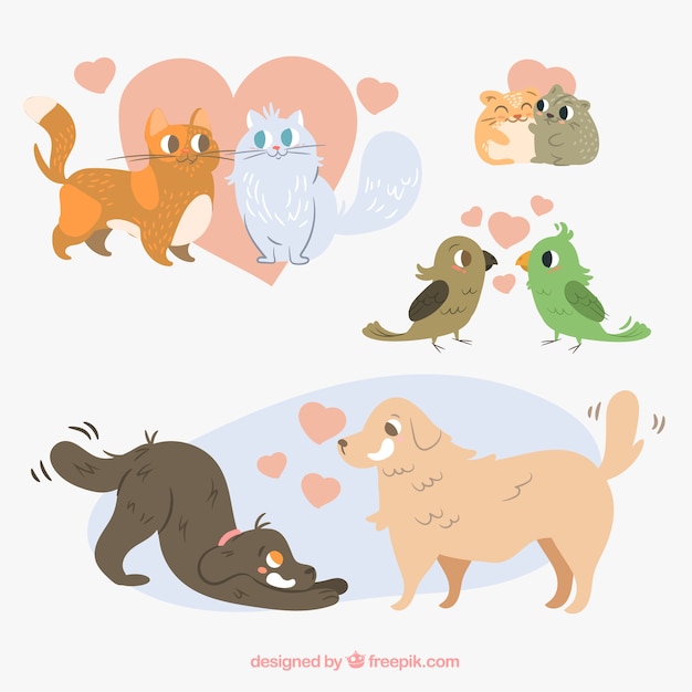 Vecteur gratuit collection de couples animaux valentine jour plat