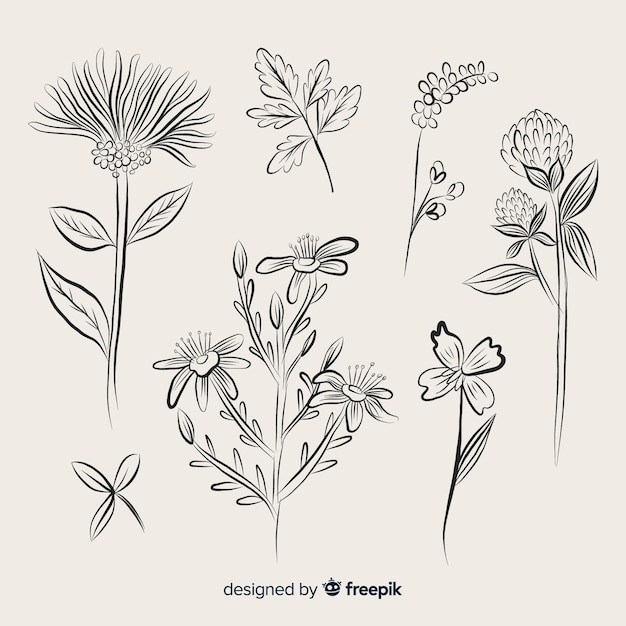 Collection de croquis d&#39;épices et d&#39;herbes dessinés à la main réaliste