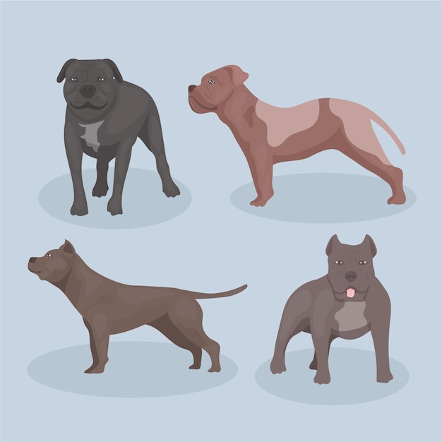 Collection détaillée de chiens pitbull