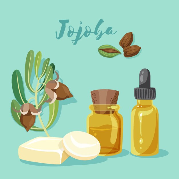 Collection détaillée d'éléments de jojoba