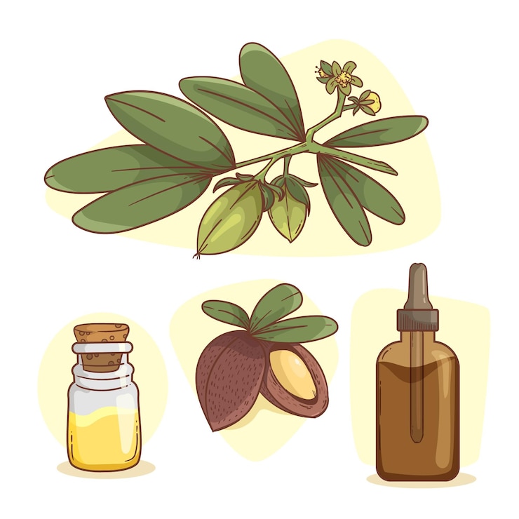 Vecteur gratuit collection détaillée d'éléments de jojoba