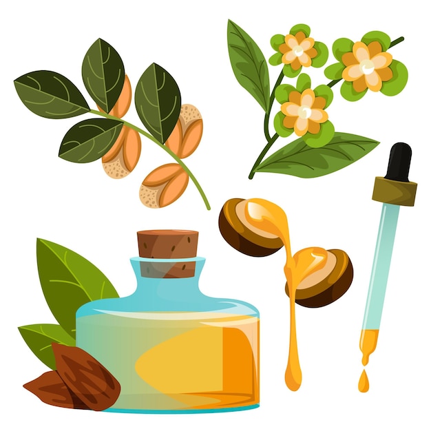 Collection Détaillée D'éléments De Jojoba