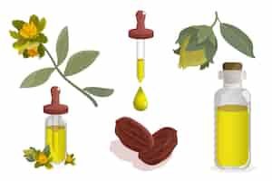 Vecteur gratuit collection détaillée d'éléments de jojoba