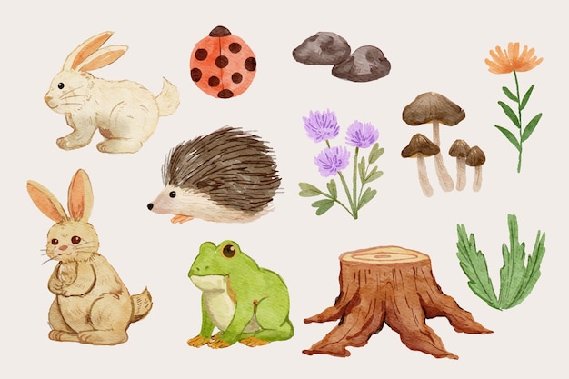 Collection d'éléments d'animaux de la forêt aquarelle