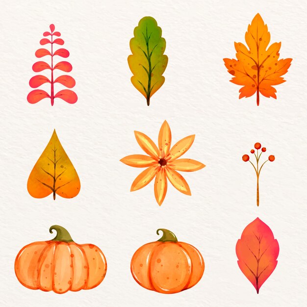 Collection d'éléments aquarelles pour la célébration de l'automne