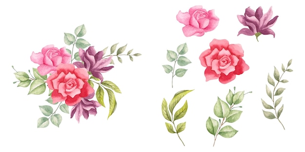 Collection d'éléments et d'arrangements floraux à l'aquarelle