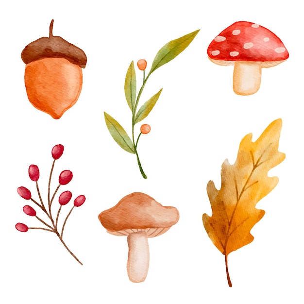 Collection d'éléments automne aquarelle