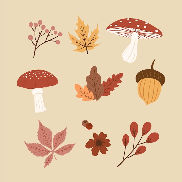 Collection d'éléments d'automne plats dessinés à la main