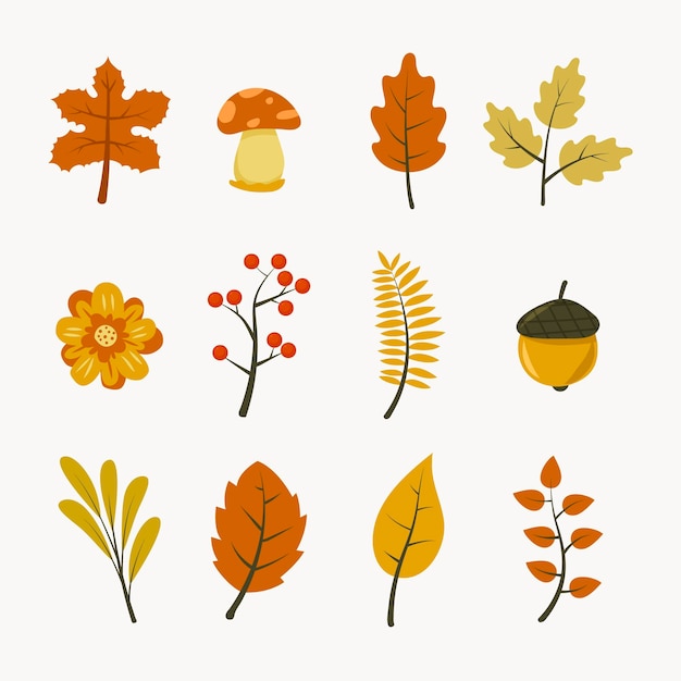Collection d'éléments d'automne plats dessinés à la main