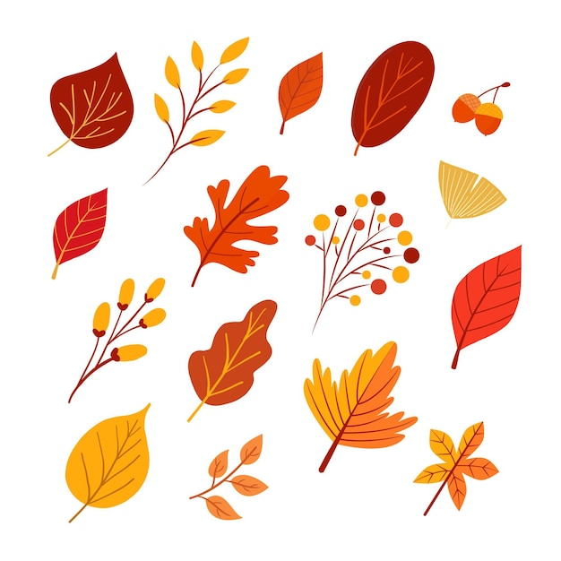 Collection d'éléments d'automne plats dessinés à la main