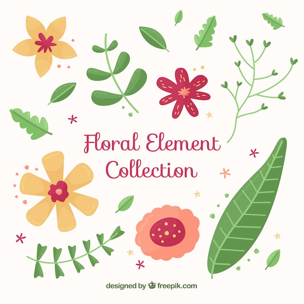 Vecteur gratuit collection d'éléments floraux avec un design plat