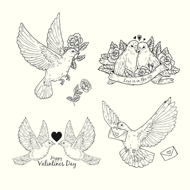 Collection D'éléments De Valentine Dessinés à La Main