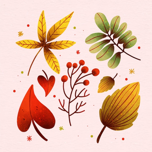 Collection De Feuilles D'automne Aquarelle