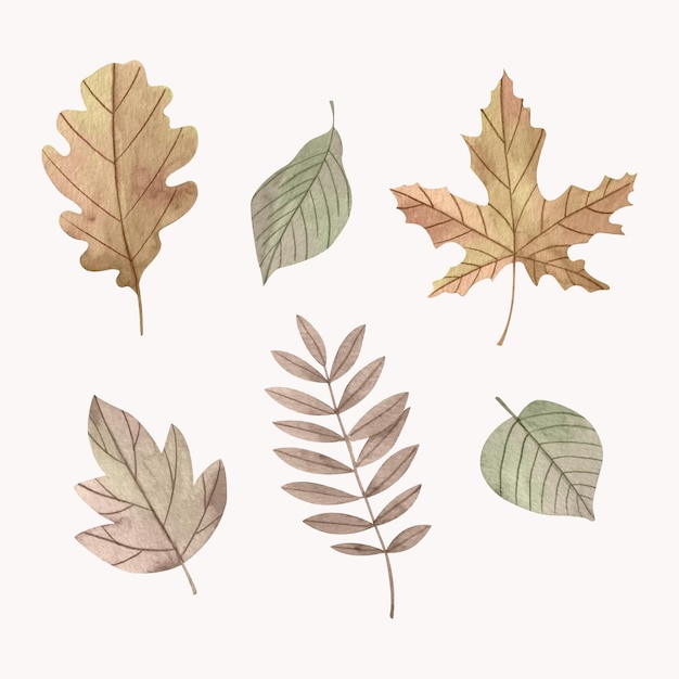 Collection de feuilles d'automne aquarelle