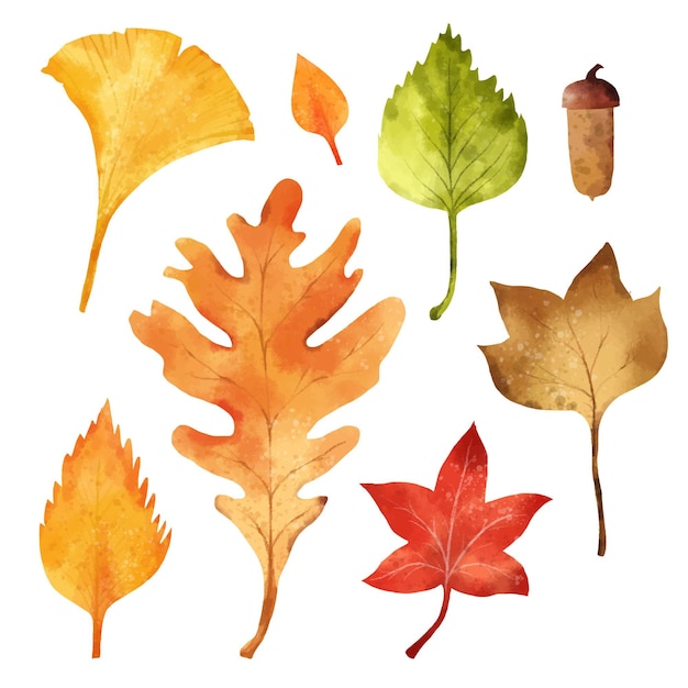 Collection de feuilles d'automne aquarelle