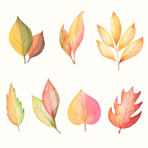 Collection de feuilles d'automne aquarelle