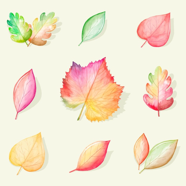 Vecteur gratuit collection de feuilles d'automne aquarelle