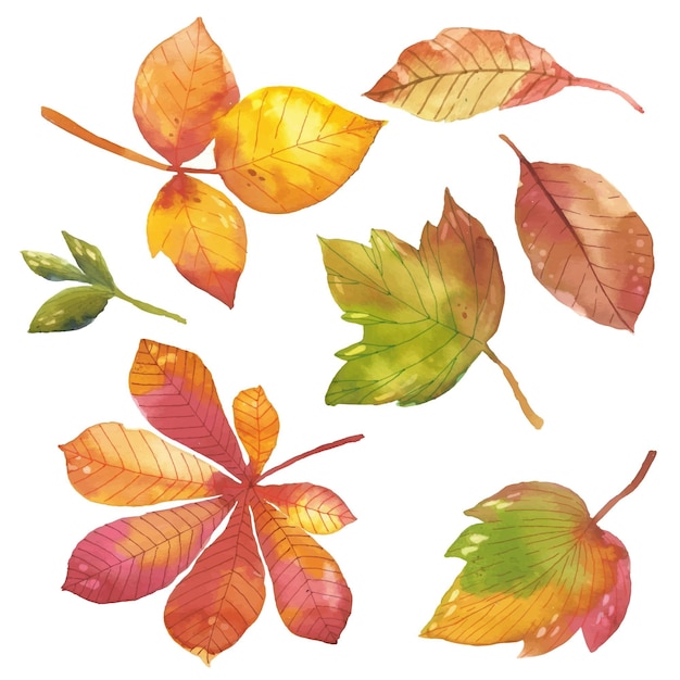 Collection de feuilles d'automne aquarelle